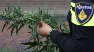 Politie ontmantelt illegale growshop na anonieme tips