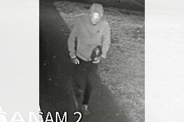 Schalkhaar - Gezocht - Wie gooide een explosief in een woonwijk Schalkhaar?