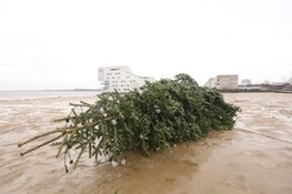 Storm geluwd, tot jaarwisseling grijs met lichte regen