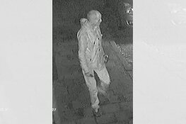 Politie onderzoekt autobranden