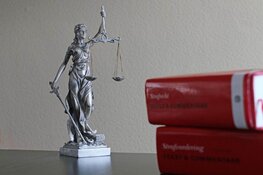 Celstraf geëist tegen man die na vechtpartij inreed op terras in Deventer