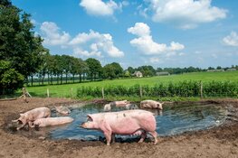 Missie Doorpakken: hoe we samen Salland levendig houden