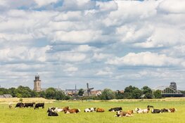 Biologisch Melkveebedrijf Klunder opent haar deuren voor een educatieve dag op zaterdag 23 september ’23.