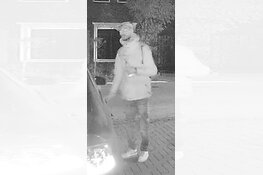 Gezocht: Diefstal uit auto Rielerenkweg Schalkhaar