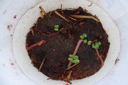 Wetenschappers op de Volkssterrenwacht Bussloo