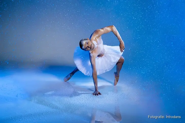 Introdans danst in Deventer het frisse en moderne Swan Lake