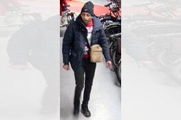 Gezocht: Zakkenrollen Stationsplein