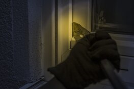 In deze Overijsselse gemeente vinden meeste schuurinbraken plaats