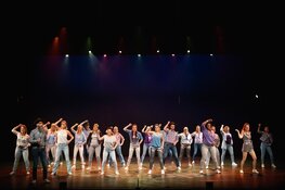 Zang- en danstheater Apropos zoekt: choreograaf (m/v)