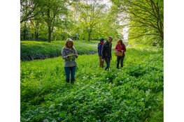 Eetbare wilde plantenwandeling rondom infocentrum IJssel Den Nul