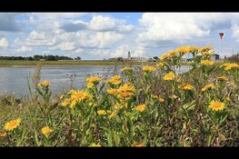Samenwerken aan een sterke natuur in Deventer