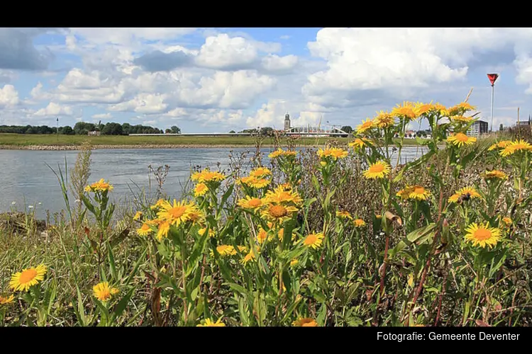 Samenwerken aan een sterke natuur in Deventer