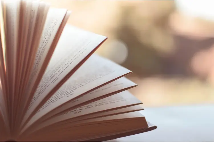 Prijsvraag kunstenaar Gulden Boek