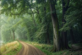 Provincie Overijssel start proces voor gebiedsgerichte aanpak rondom Natura 2000-gebieden