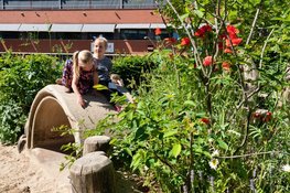 Nieuwe subsidieronde Groene Schoolpleinen Overijssel geopend