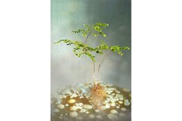 Fotograaf Tineke van der Pouw Kraan exposeert in Deventer