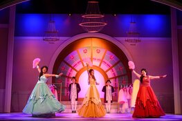 Doornroosje De Musical in Deventer Schouwburg