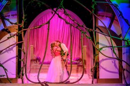 Doornroosje De Musical in Deventer Schouwburg