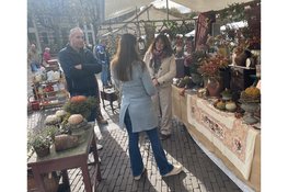 Magische Herfstbrocante op de Brink in Deventer